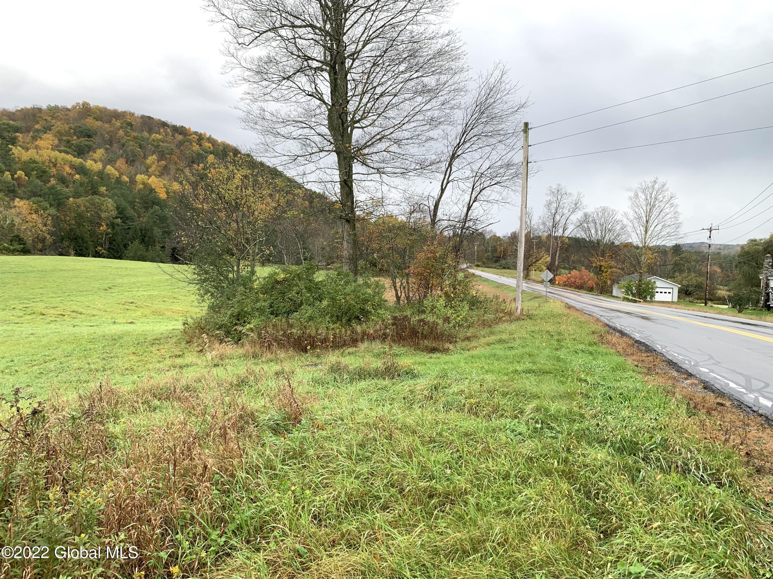 Lot 2 County Rt 64 Shushan, NY 12873 - Photo 8 of 9 Lot 2 frontage b
