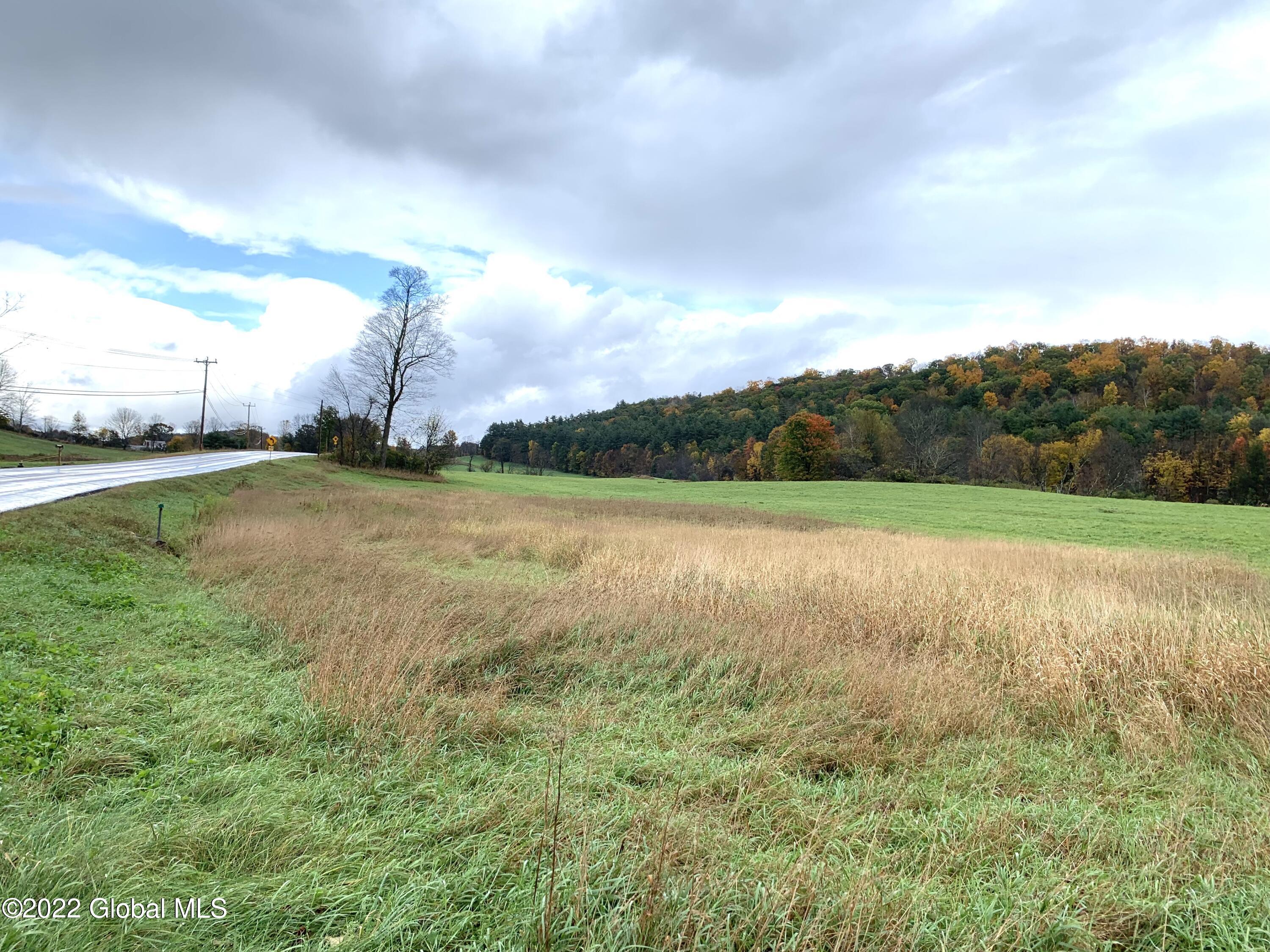 Lot 2 County Rt 64 Shushan, NY 12873 - Photo 9 of 9 Lot 2 lot and frontage