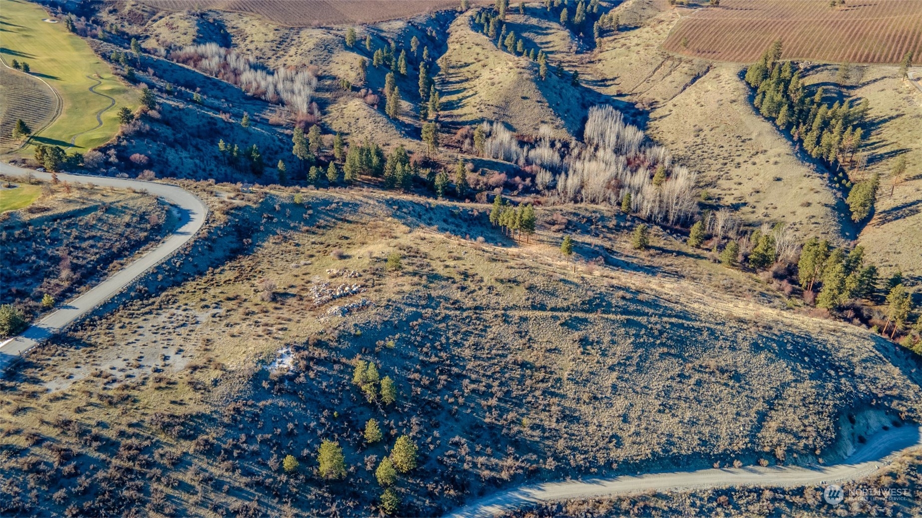 0 Bear Mountain Ranch Road Chelan, WA 98816 - Photo 17 of 18