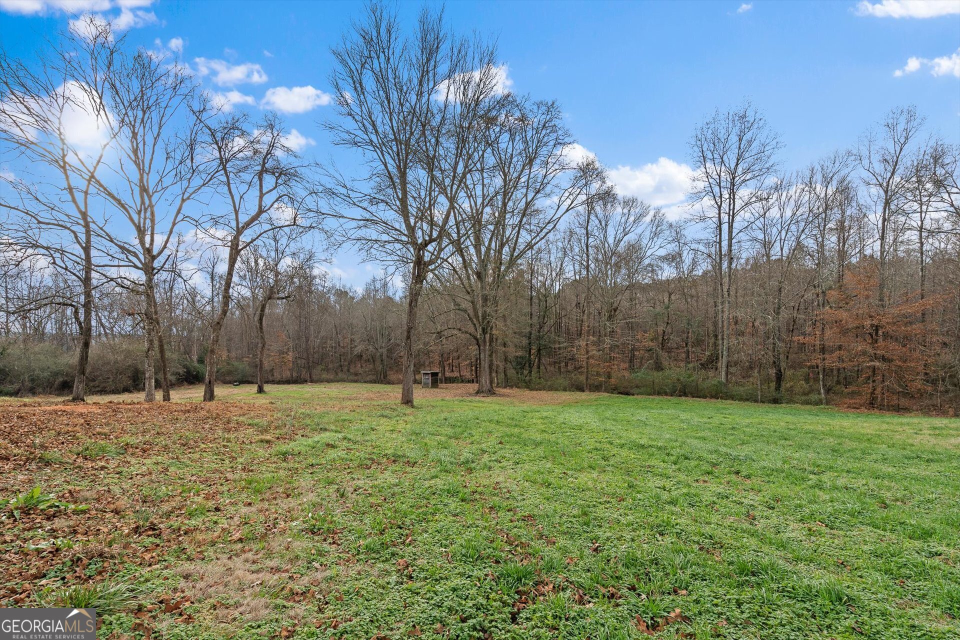 976 Salem Church Road Carrollton, GA 30117 - Photo 50 of 55