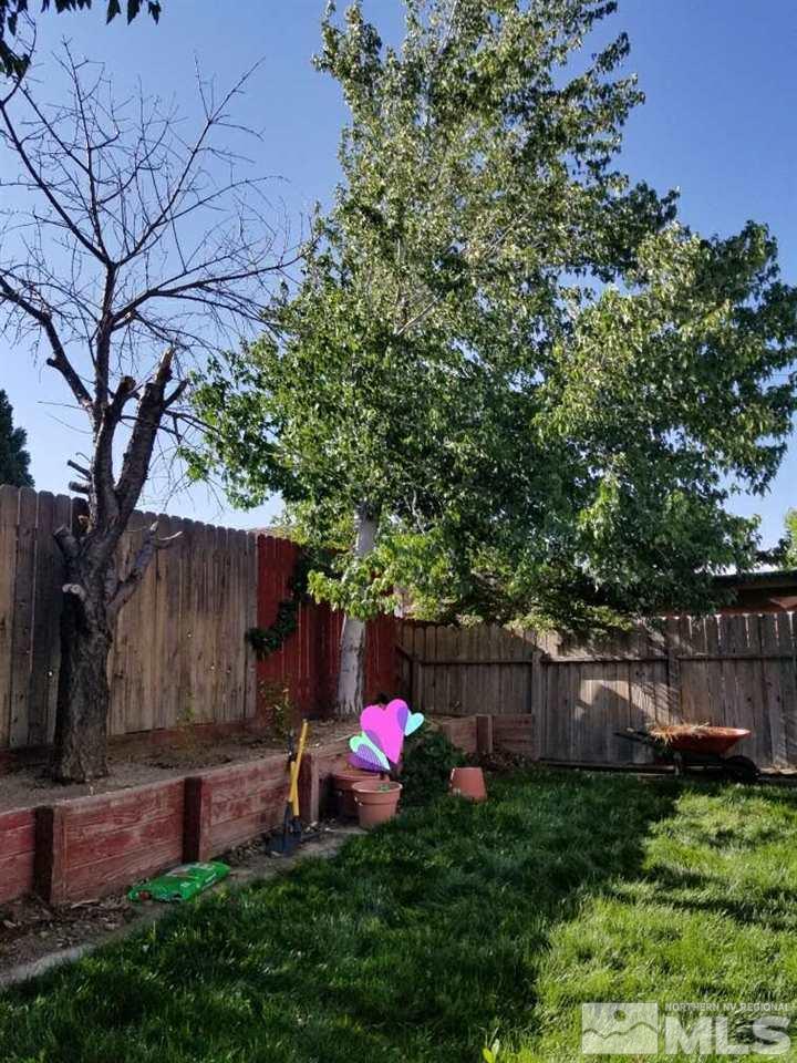 6940 Flower Street Reno, NV 89506 - Photo 20 of 20 a view of a backyard with a tree