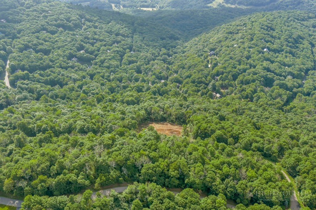 Lot 17 Crown Point Road West Jefferson, NC 28694 - Photo 16 of 21