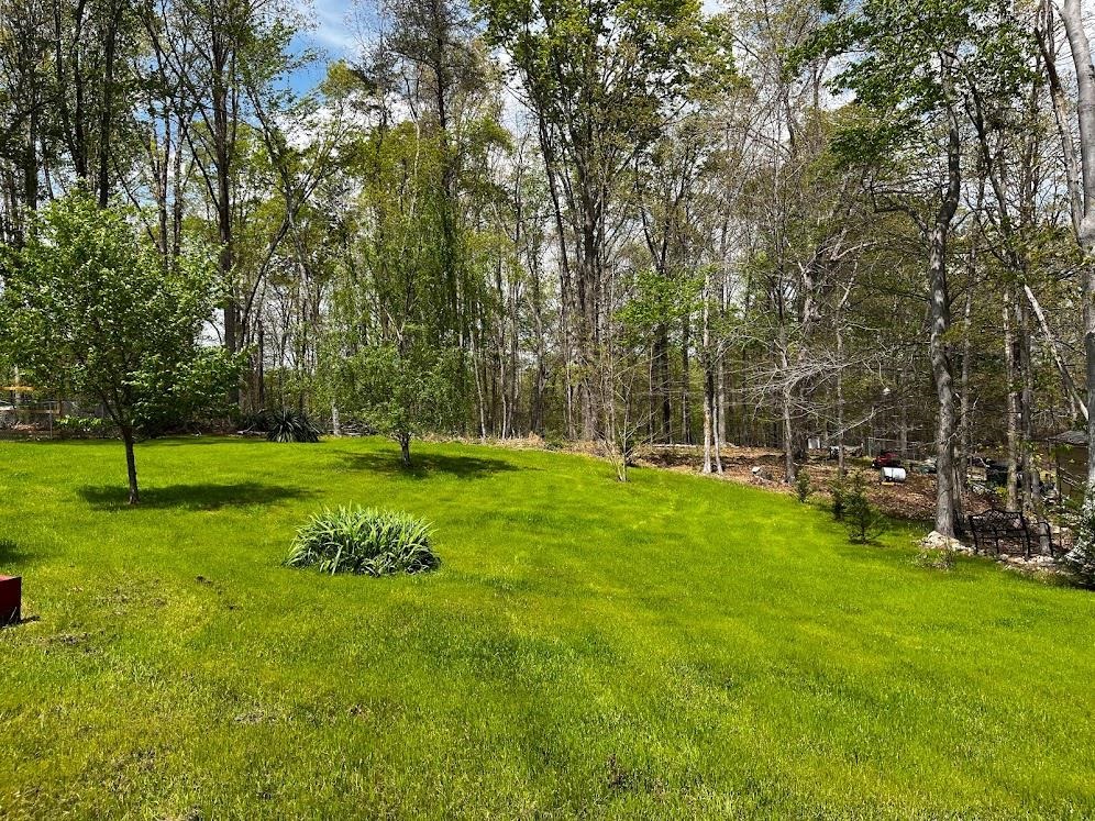 473 State Rd S-11-116 Gaffney, SC 29340 - Photo 7 of 15 Gallery Image 7