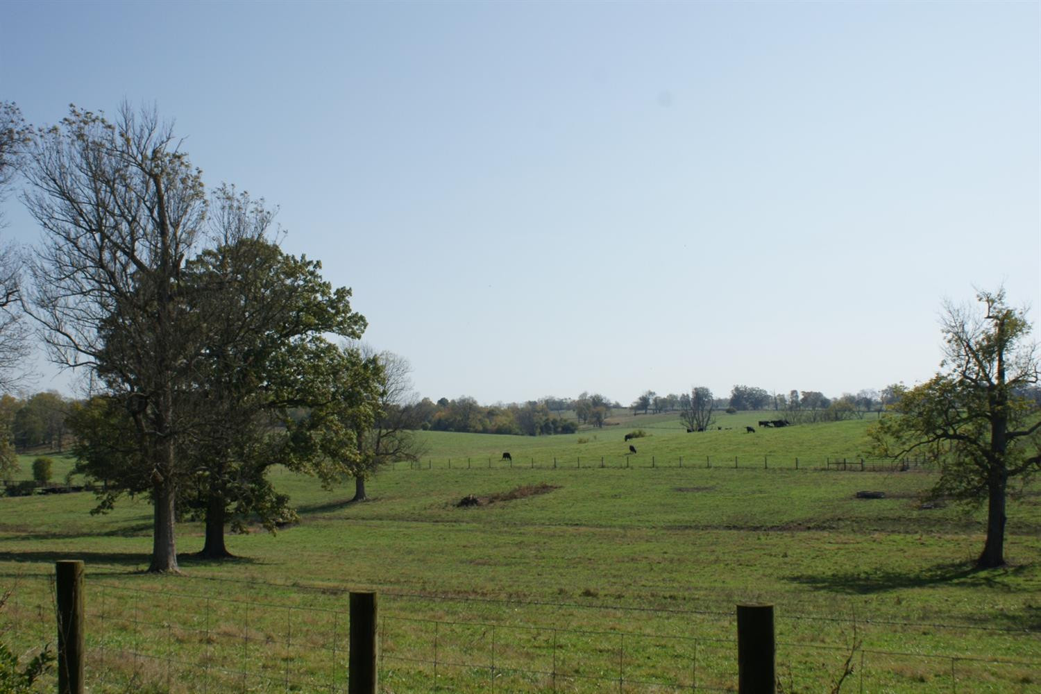 1261 Winchester Road Paris, KY 40361 - Photo 13 of 43 Photo 13
