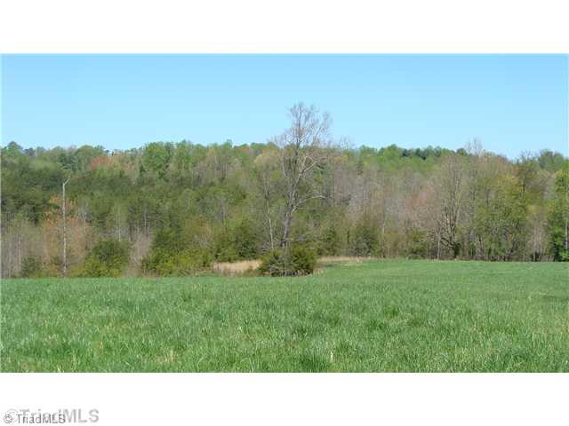 0 Fax Welborn Road State Road, NC 28676 - Photo 1 of 8 Land. Completely Private! Live the good life in North Carolina!