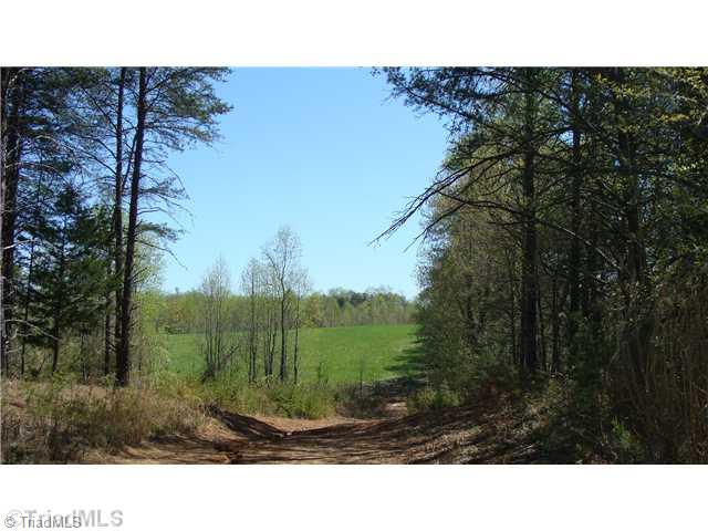 0 Fax Welborn Road State Road, NC 28676 - Photo 3 of 8 Land. Heading Home on your own Private Entry!
