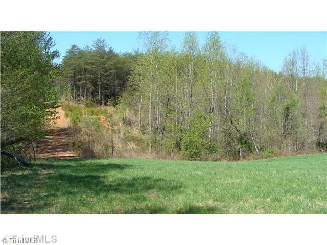 0 Fax Welborn Road State Road, NC 28676 - Photo 4 of 8 Land. Looking toward your entry point. Another great building site