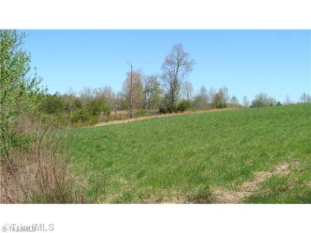 0 Fax Welborn Road State Road, NC 28676 - Photo 5 of 8 Land. Bring the Kids and the livestock!