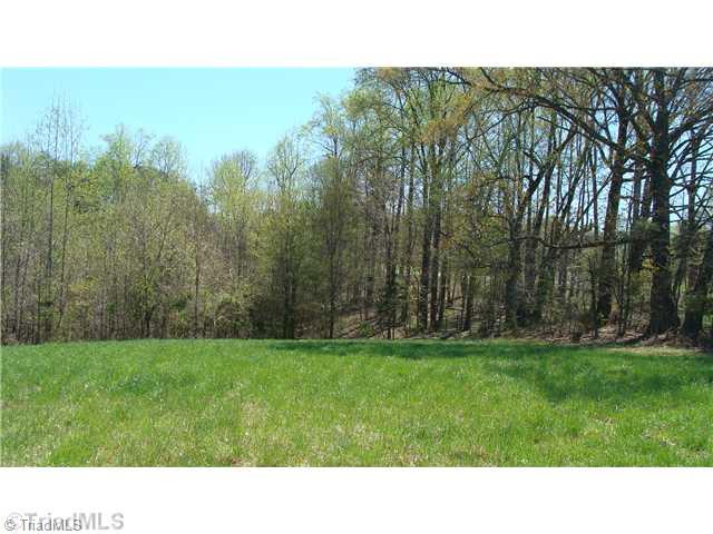 0 Fax Welborn Road State Road, NC 28676 - Photo 8 of 8 Land. Live the good life in North Carolina!!