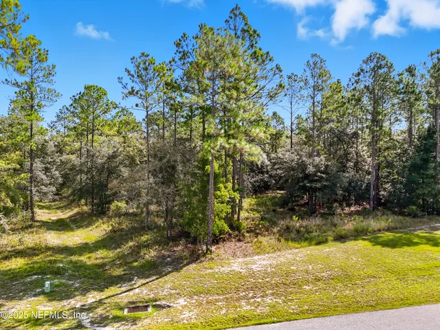 a view of swimming pool from a yard
