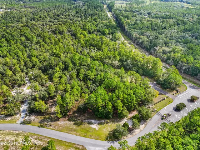 a view of a garden with a tree
