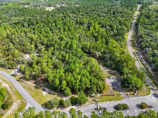a view of a garden with a tree