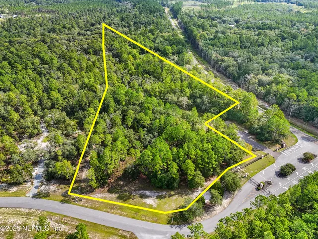 a view of a yard with a plant