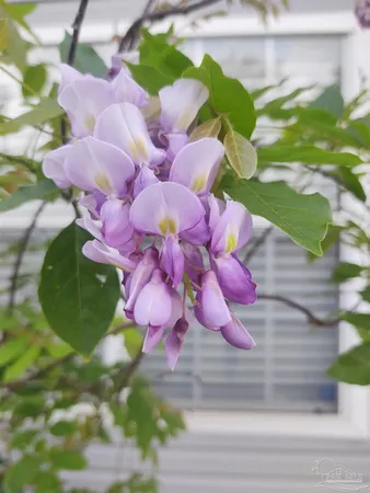 $1,850 | 6351 Cottage Woods Drive, Milton, FL 32570