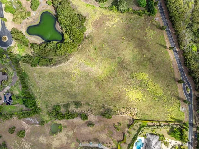 a view of an ocean and of trees
