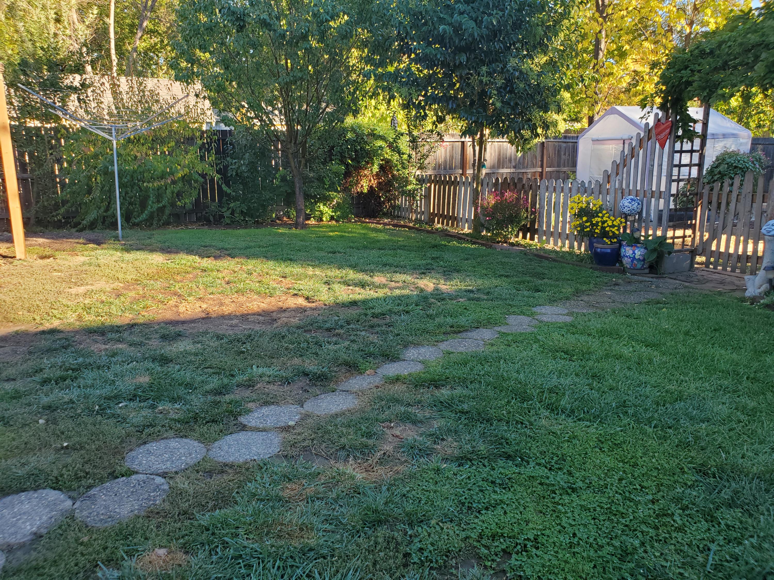 1032 Reddy Avenue Medford, OR 97504 - Photo 20 of 20 a view of a park with a large trees