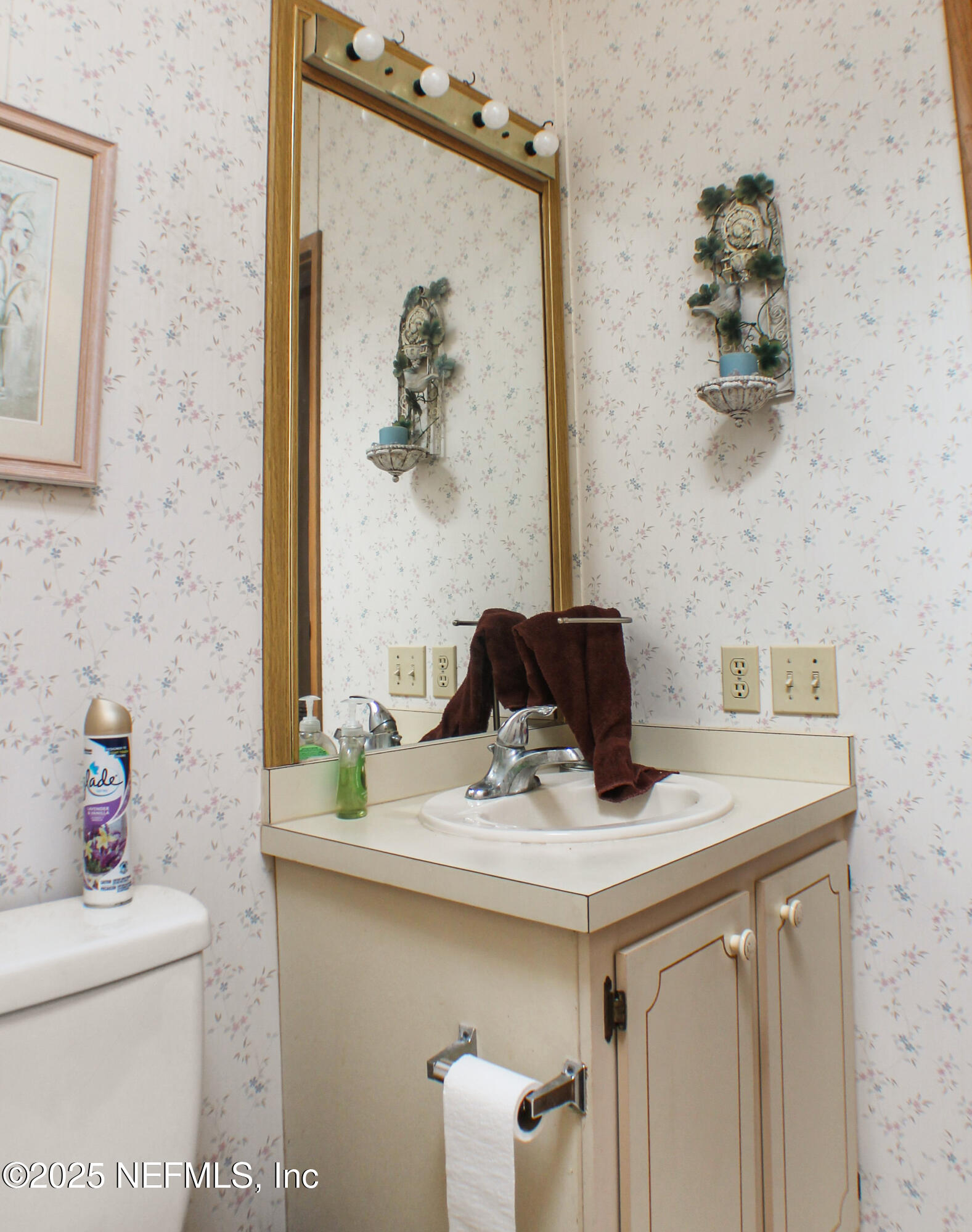 134 Magnolia Street Satsuma, FL 32189 - Photo 34 of 62 a bathroom with a sink and a mirror