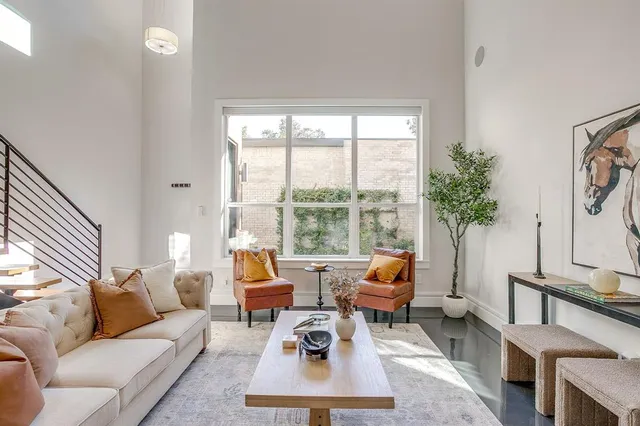 a living room with furniture a rug and a potted plant