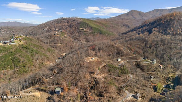 667 Turkey Nest Road Gatlinburg, TN 37738 - Photo 29 of 29 a view of a big yard with mountains in the background