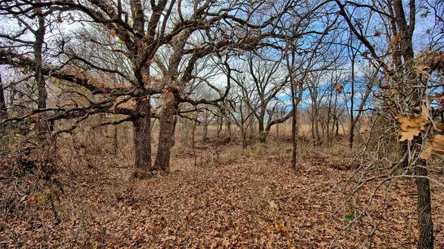 a view of a lake with houses in the back