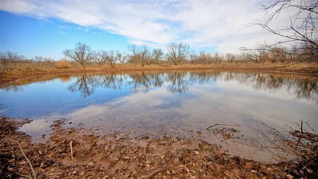 a view of a lake from a yard