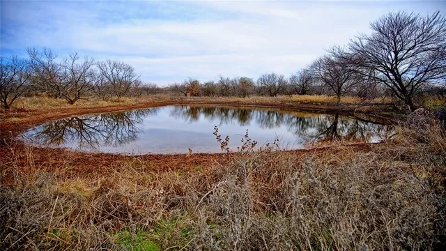 a view of a yard with trees