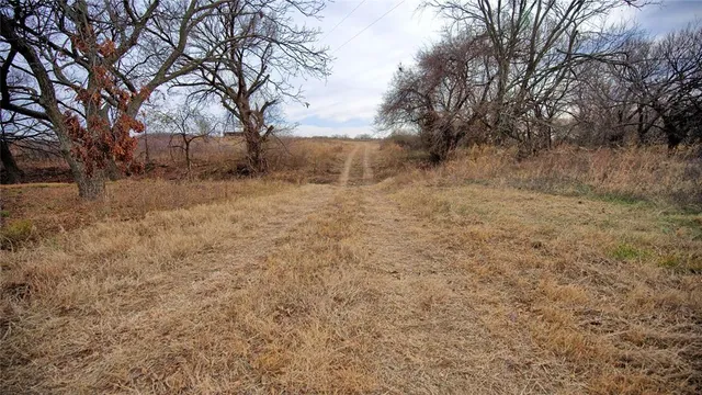 a view of a dry field with lots of trees in the background