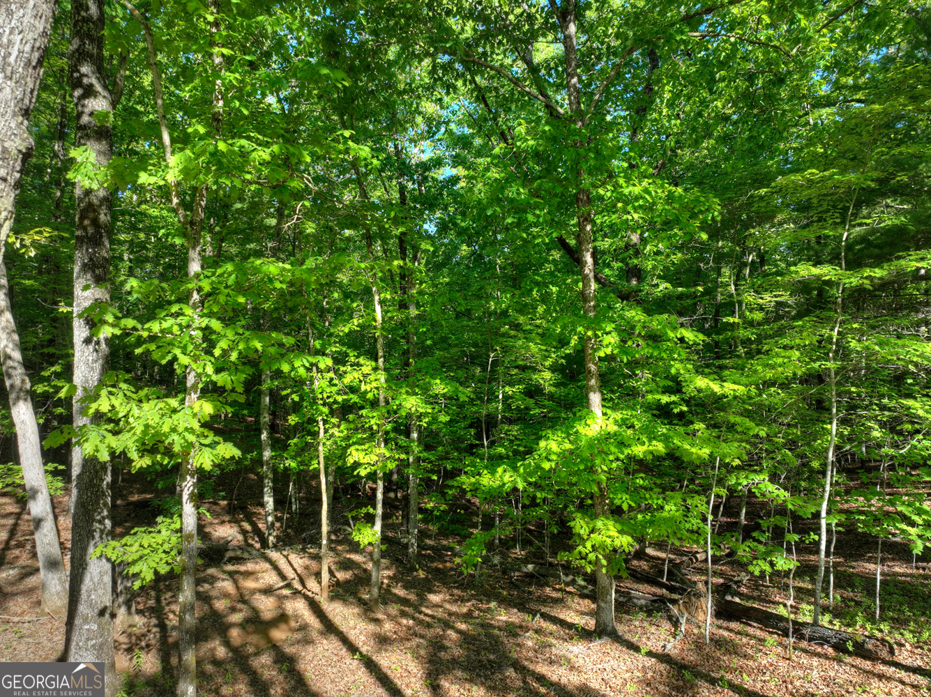 Lot 41 Ridge Drive Morganton, GA 30560 - Photo 33 of 34