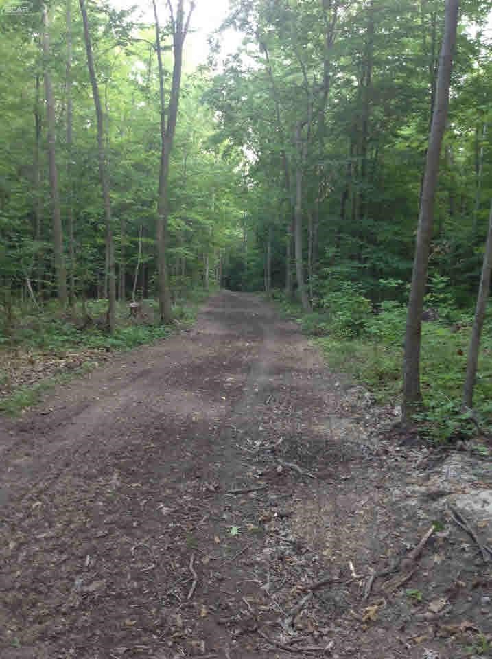 0 Nettney Capac, MI 48014 - Photo 14 of 32