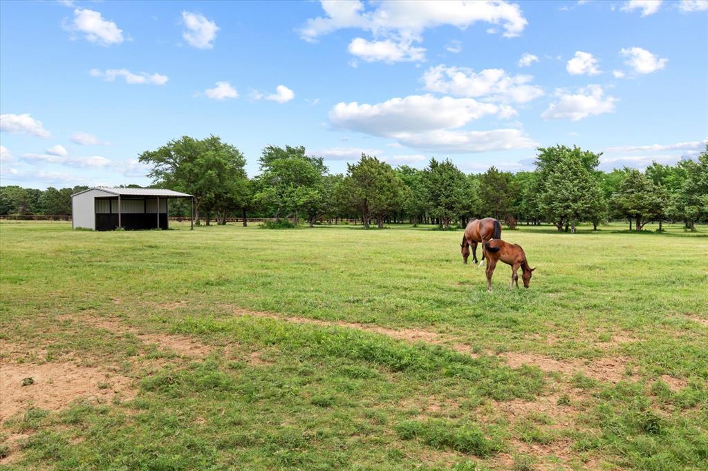 10701 Osburn Road Pilot Point, TX 76258 - Photo 29 of 37 Pasture