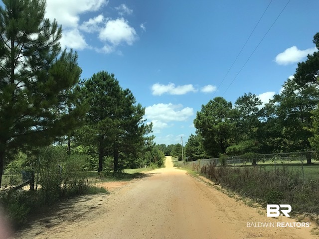 339 Blackburn Lane Brewton, AL 36426 - Photo 2 of 13 Main Road