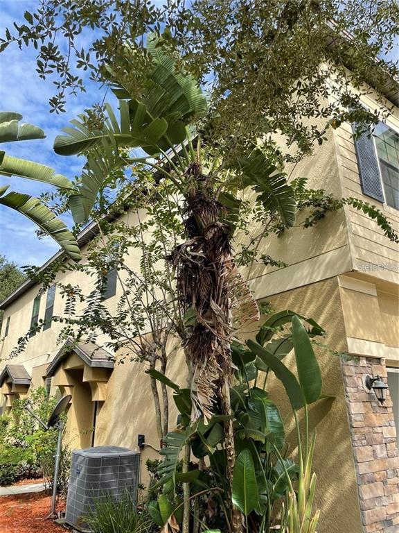 3408 Seneca Club Loop, Unit A Orlando, FL 32808 - Photo 26 of 36 a view of a tree with a yard