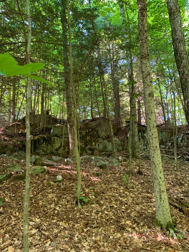 30 Maple Hill Road Saranac Lake, NY 12983 - Photo 13 of 27 Gallery Image 13