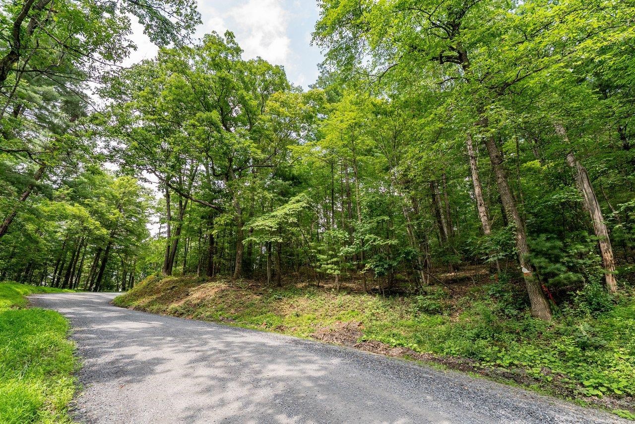 Tbd Rinker Road Broadway, VA 22815 - Photo 18 of 27 a view of a yard with plants and trees