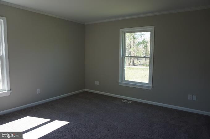 8329 New Bridge Estates Road Denton, MD 21629 - Photo 22 of 35 Gallery Image 22