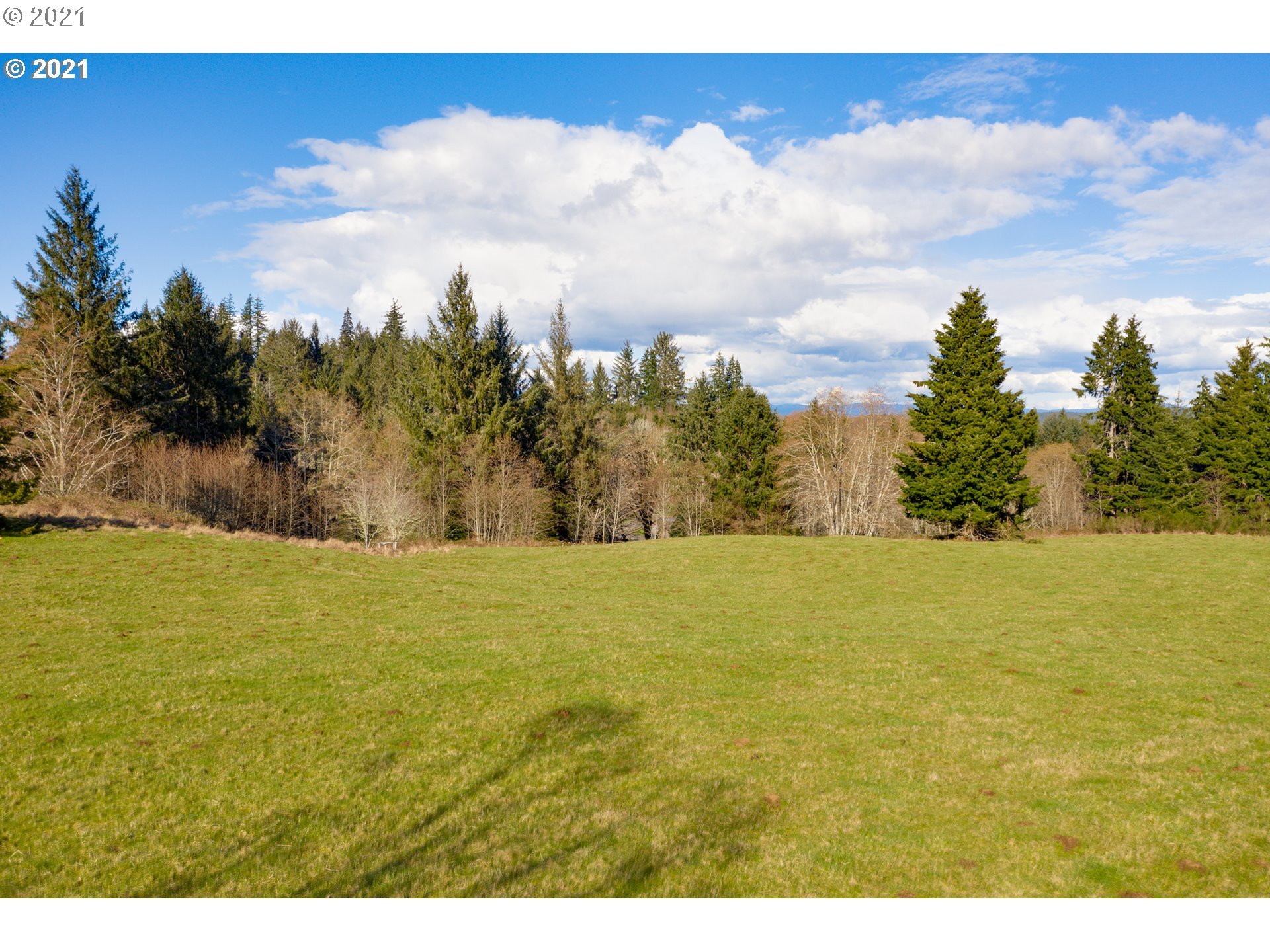 92153 Koppisch Road Astoria, OR 97103 - Photo 2 of 14 Gallery Image 2