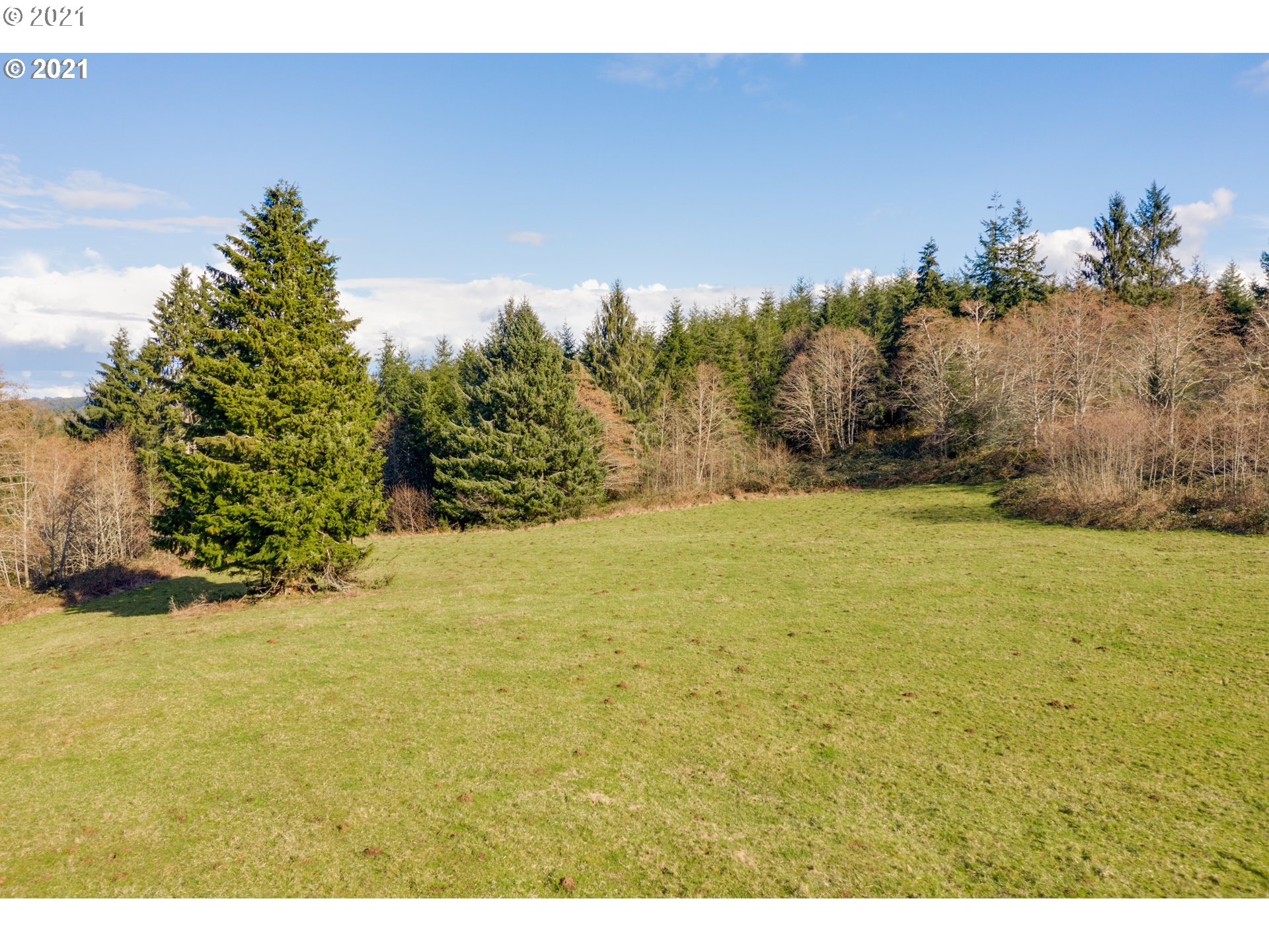 92153 Koppisch Road Astoria, OR 97103 - Photo 6 of 14 Gallery Image 6