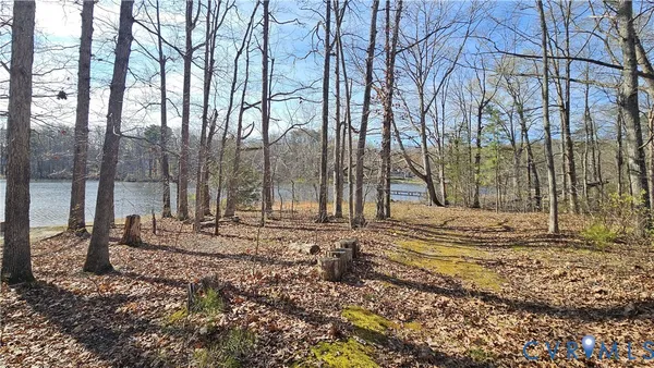 a view of a backyard with large trees