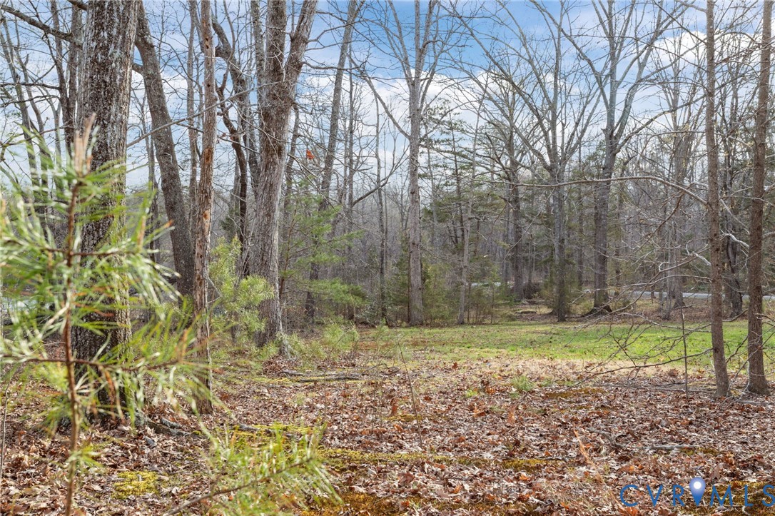 0 Perch Street Gum Spring, VA 23065 - Photo 6 of 22 View of the 2nd lot beginning at the tree line in