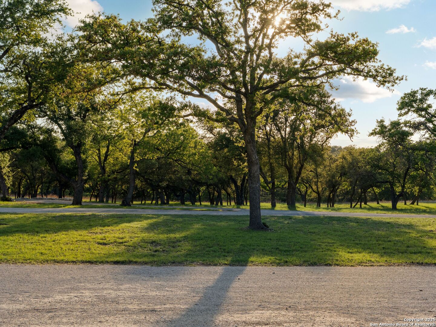 862 Grape Creek Road Fredericksburg, TX 78624 - Photo 6 of 90 a view of a volley ball court
