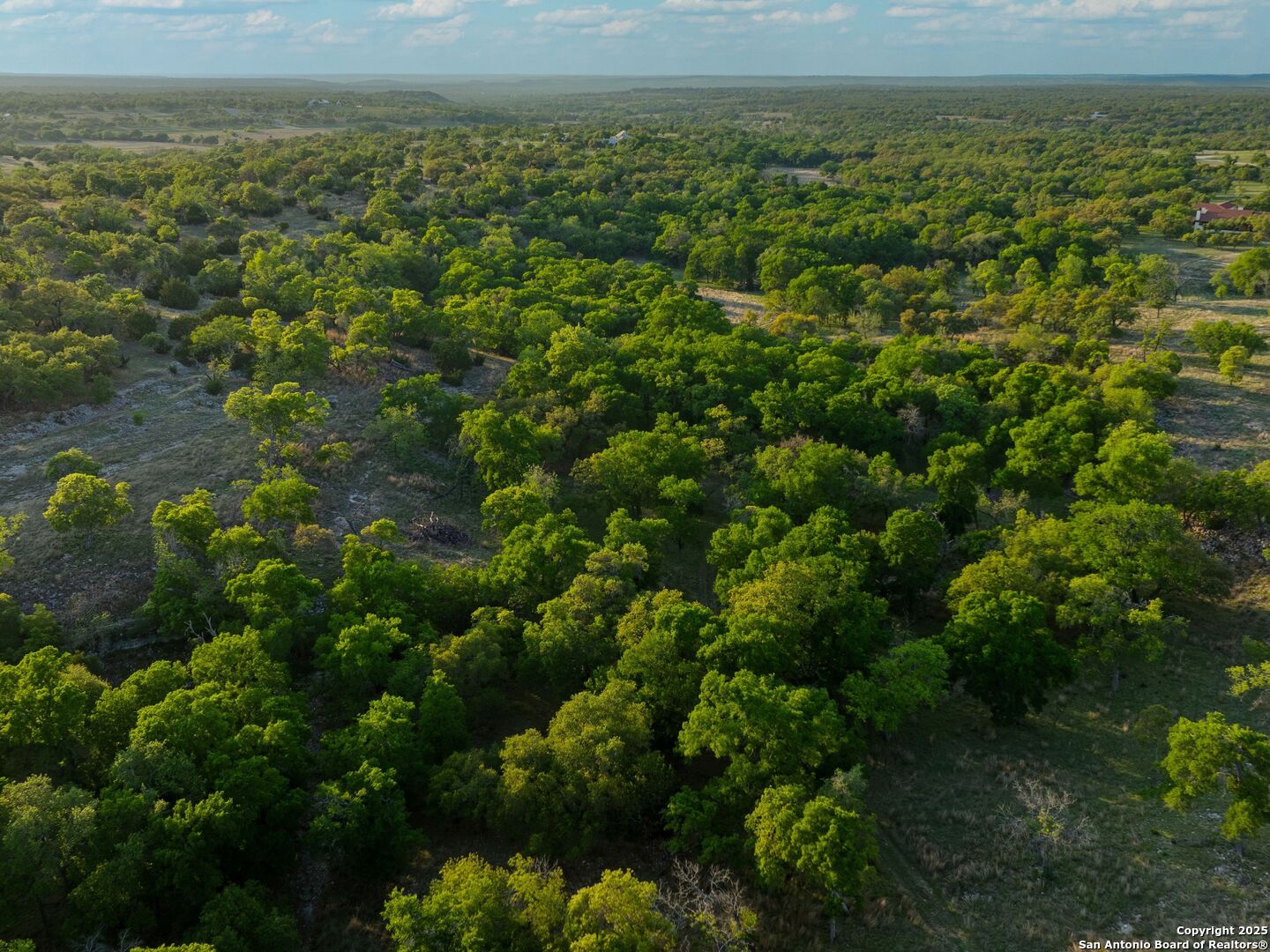 862 Grape Creek Road Fredericksburg, TX 78624 - Photo 74 of 90 a view of a green field with lots of bushes