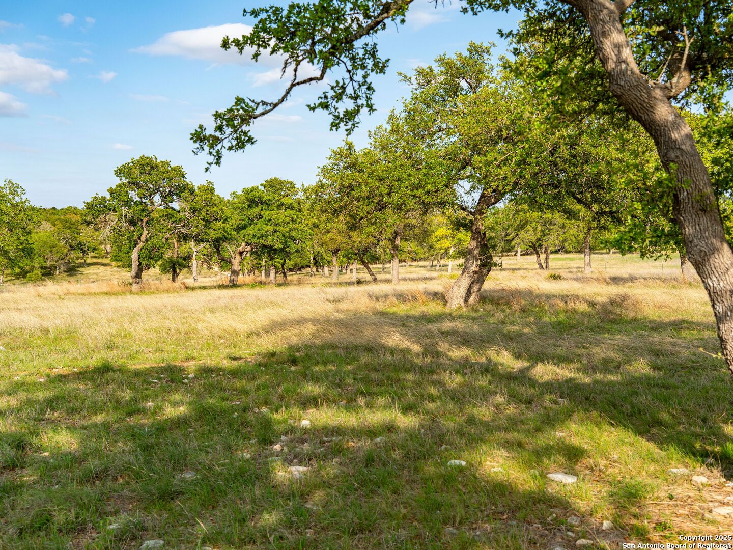 862 Grape Creek Road Fredericksburg, TX 78624 - Photo 79 of 90