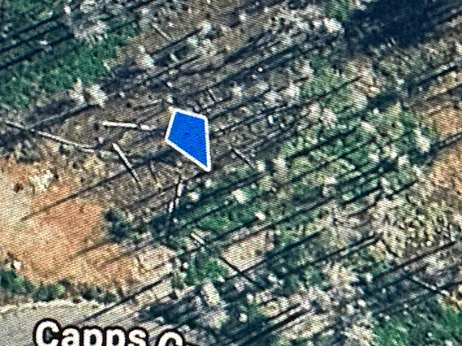 7148 Capps Crossing Road Grizzly Flats, CA 95636 - Photo 4 of 4