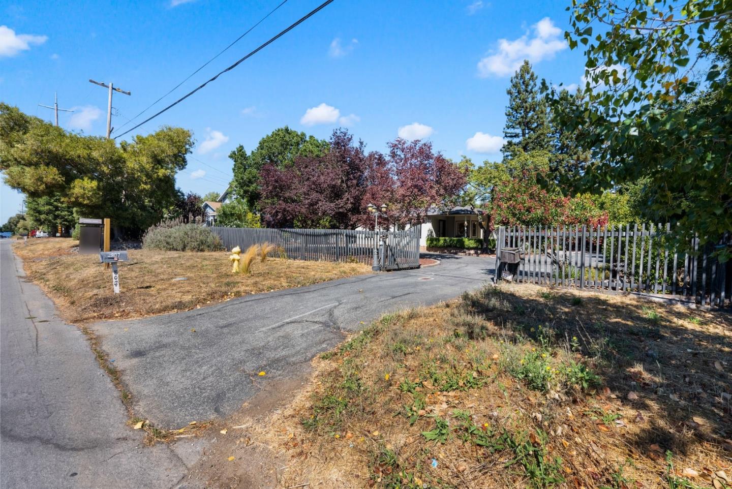 807 Cañada Road Woodside, CA 94062 - Photo 5 of 35 a view of a yard with plants