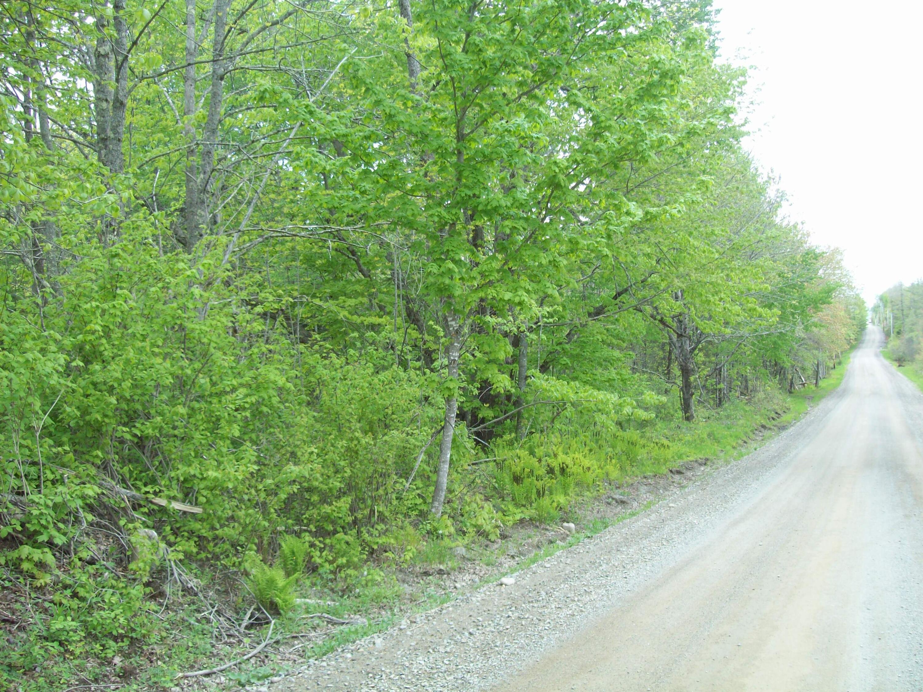 Tbd Thomas Hill Road Lee, ME 04455 - Photo 3 of 6 100_3425