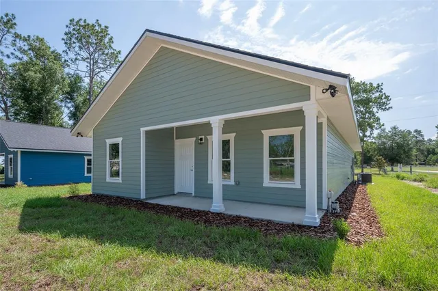 a view of backyard with potted plants and a large tree