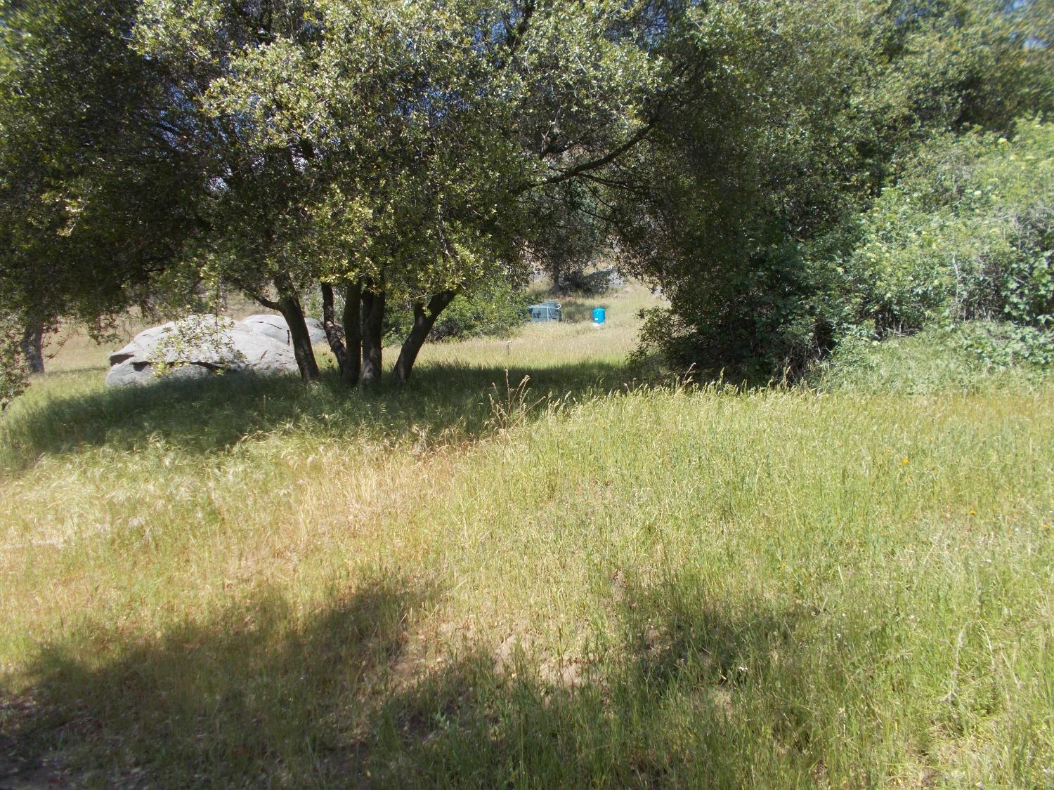 49042 Chuckwagon Road Squaw Valley, CA 93675 - Photo 2 of 12 Gallery Image 2