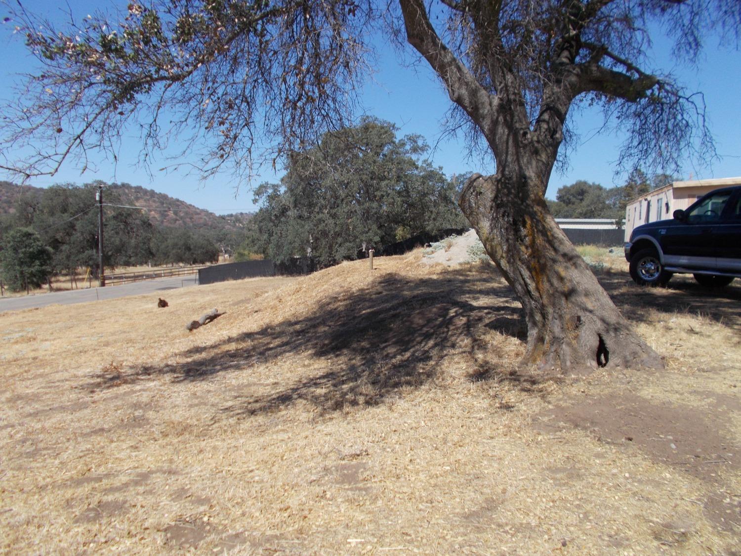 49042 Chuckwagon Road Squaw Valley, CA 93675 - Photo 7 of 12 Gallery Image 7