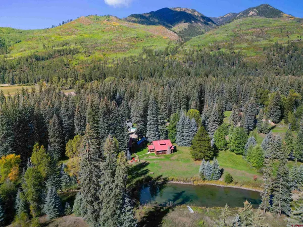 a view of a lush green hillside and a houses