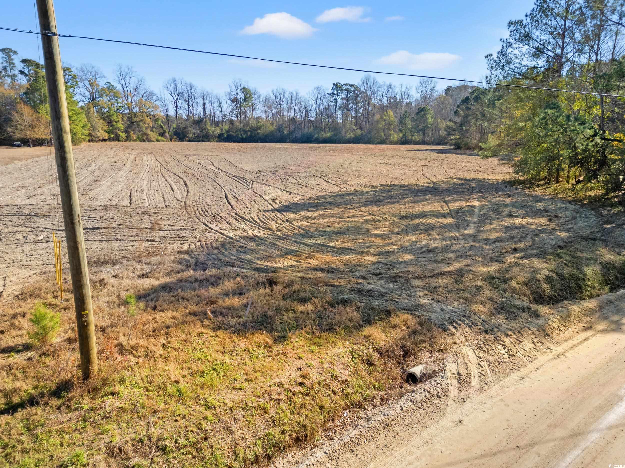 View of yard with a view of rural / pastoral area
